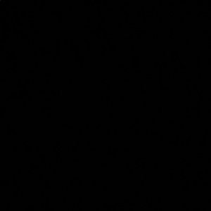 Meet your Posher, Asya